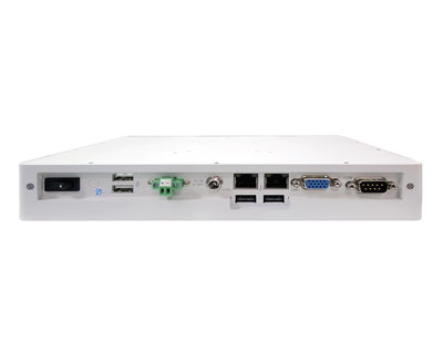 SHARK-10